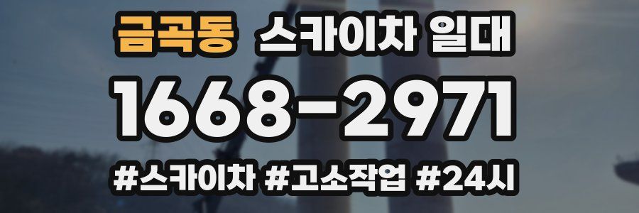금곡동 스카이차 일대
