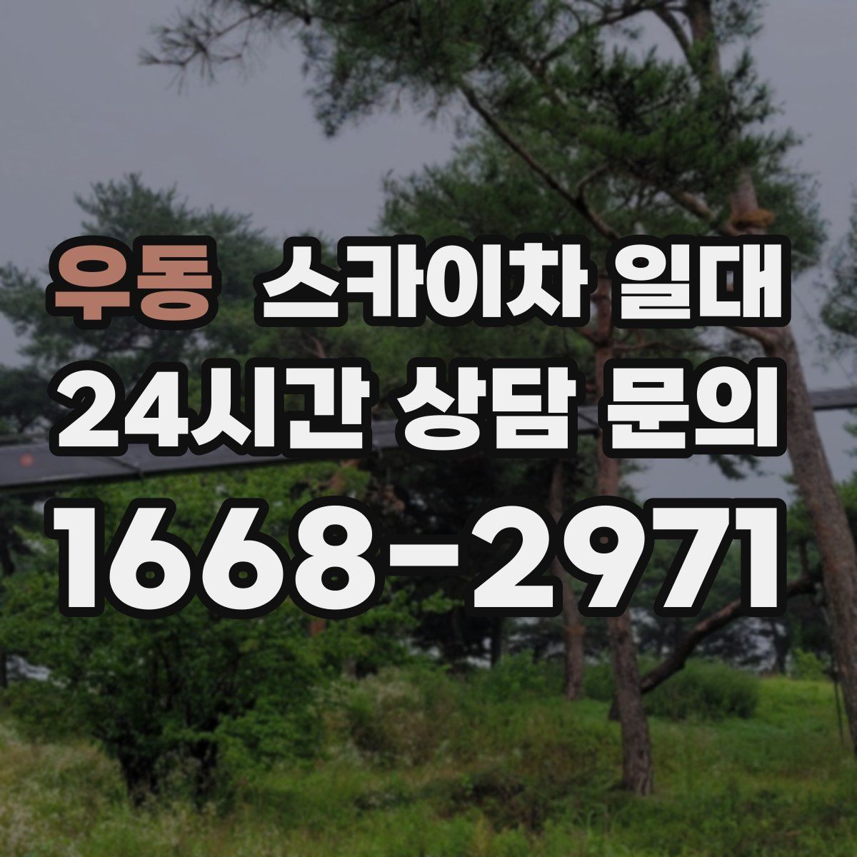 우동 스카이차 일대