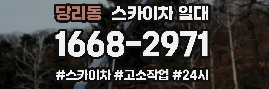 당리동 스카이차 일대