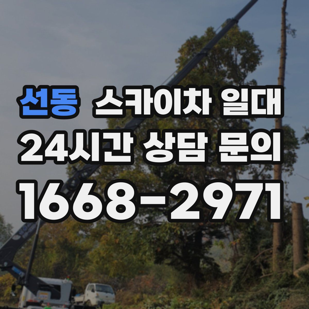선동 스카이차 일대