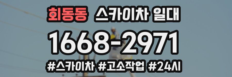 회동동 스카이차 일대