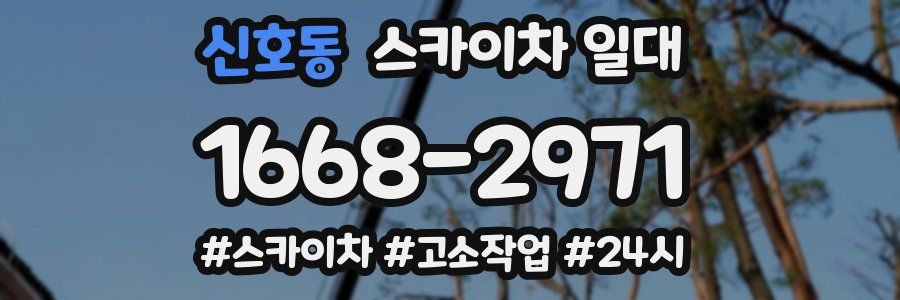 신호동 스카이차 일대