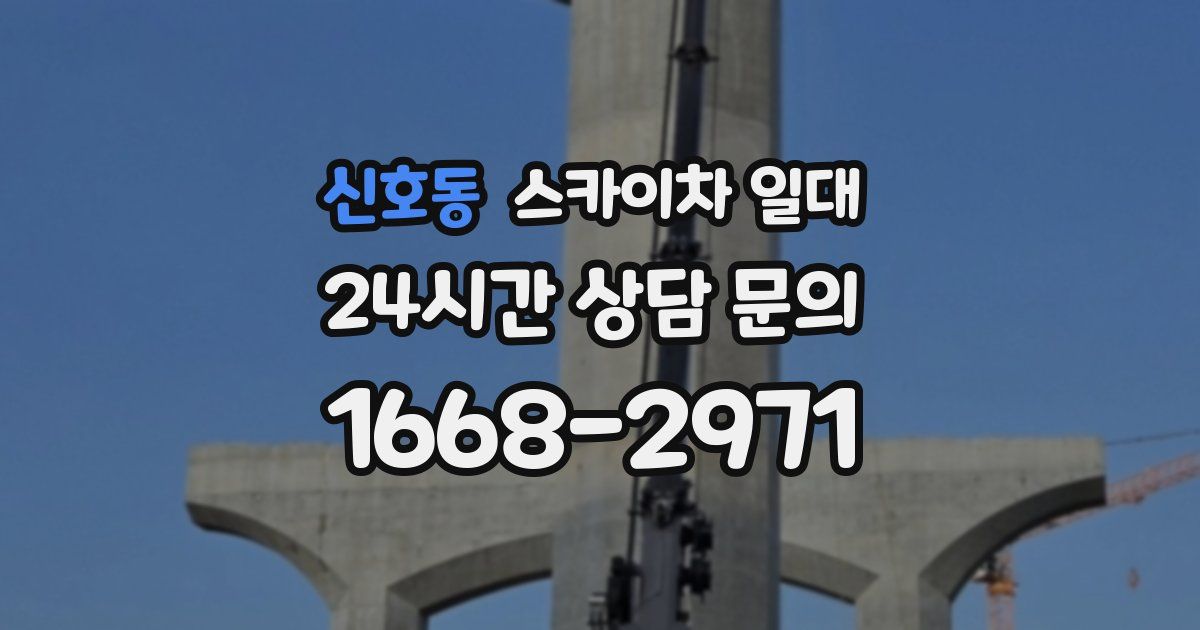 신호동 스카이차 일대