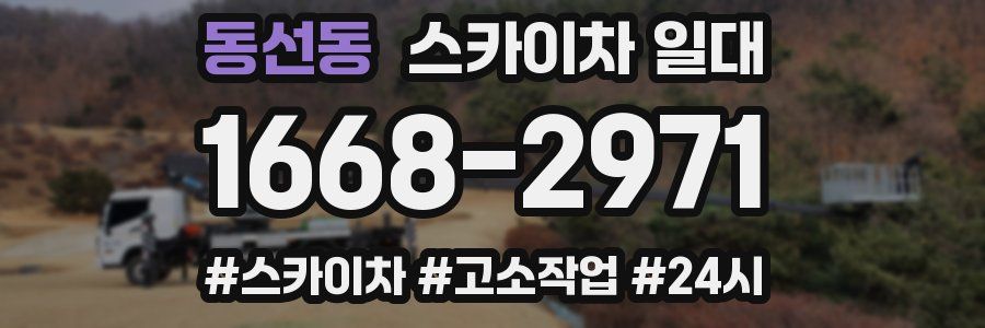 동선동 스카이차 일대