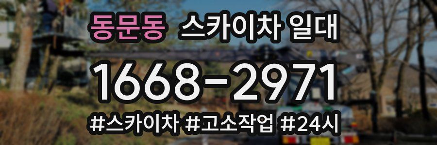 동문동 스카이차 일대