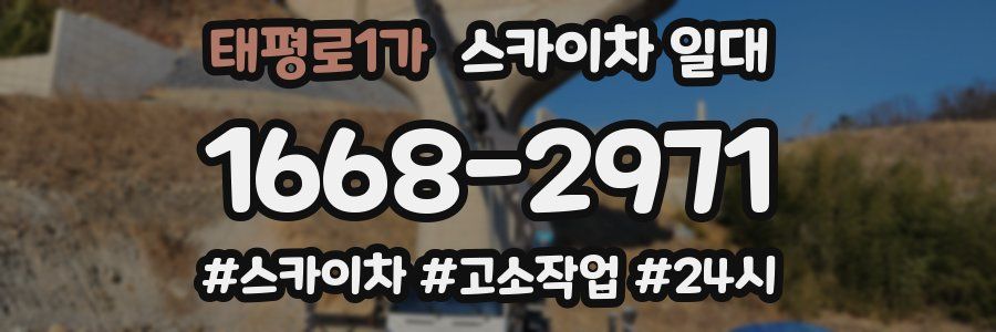 태평로1가 스카이차 일대