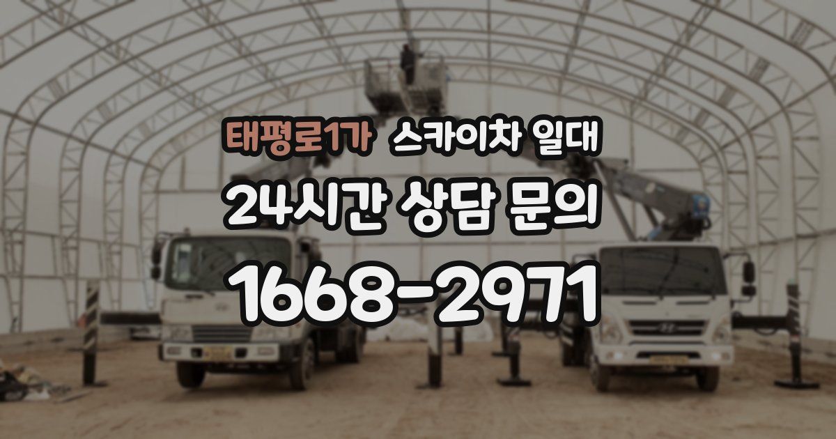 태평로1가 스카이차 일대