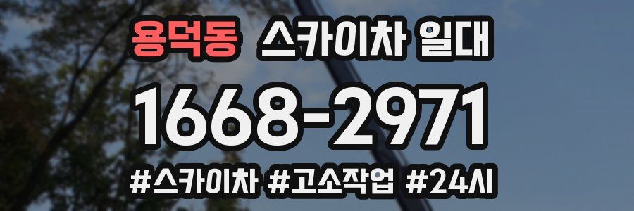 용덕동 스카이차 일대