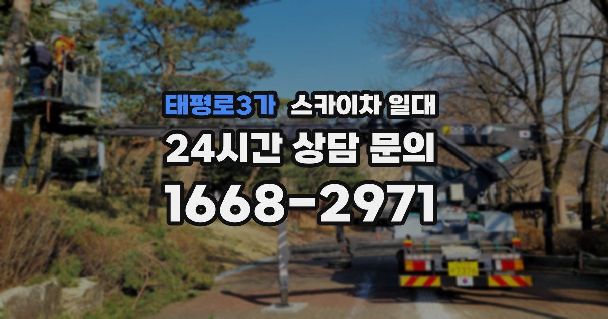 태평로3가 스카이차 일대