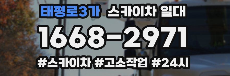 태평로3가 스카이차 일대