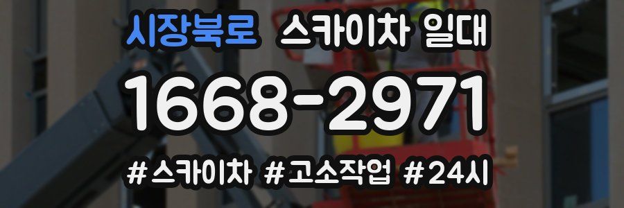 시장북로 스카이차 일대