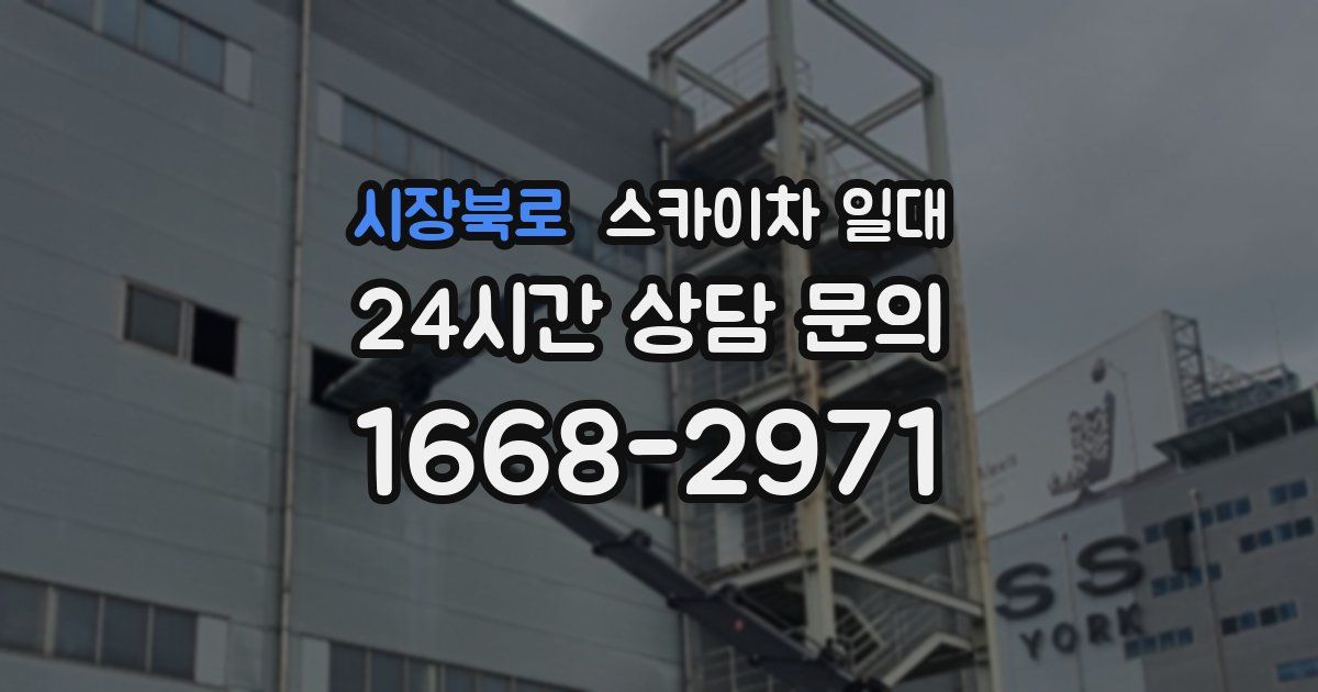 시장북로 스카이차 일대