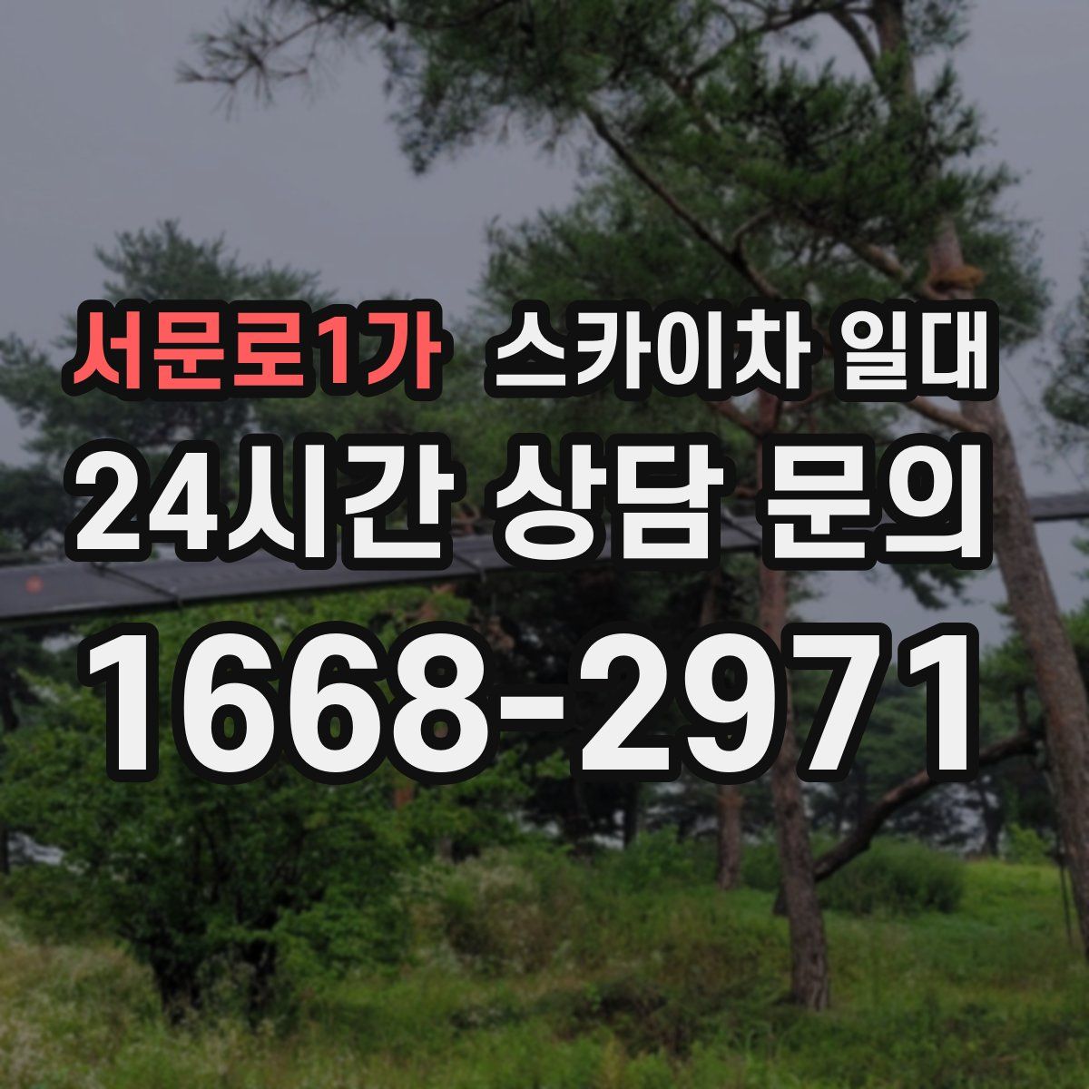 서문로1가 스카이차 일대