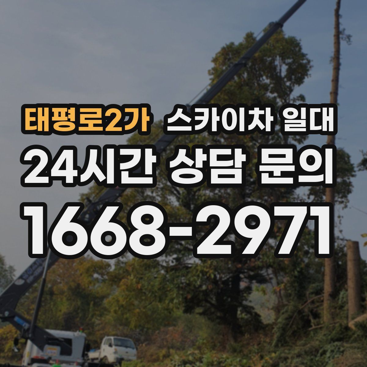 태평로2가 스카이차 일대