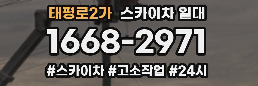 태평로2가 스카이차 일대