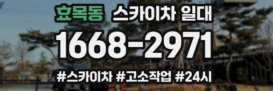 효목동 스카이차 일대