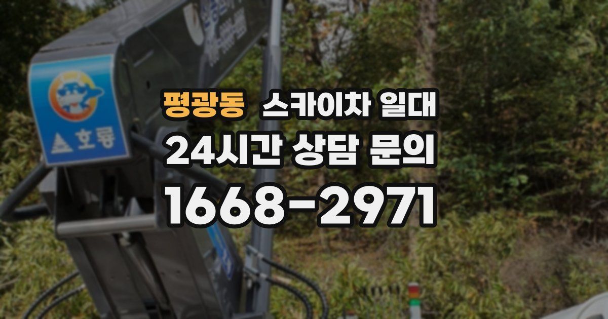 평광동 스카이차 일대