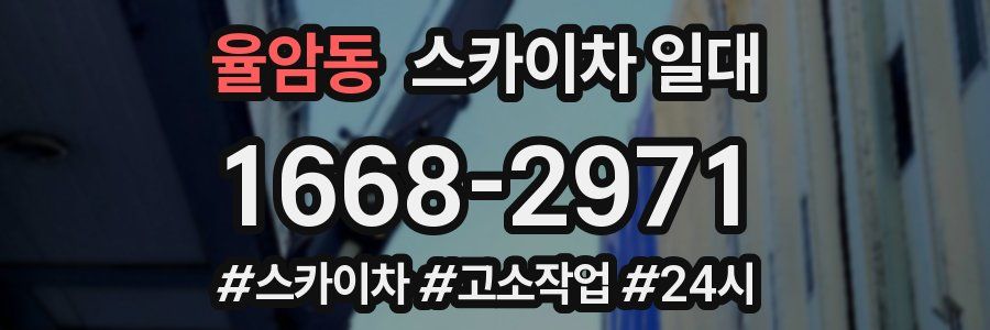 율암동 스카이차 일대
