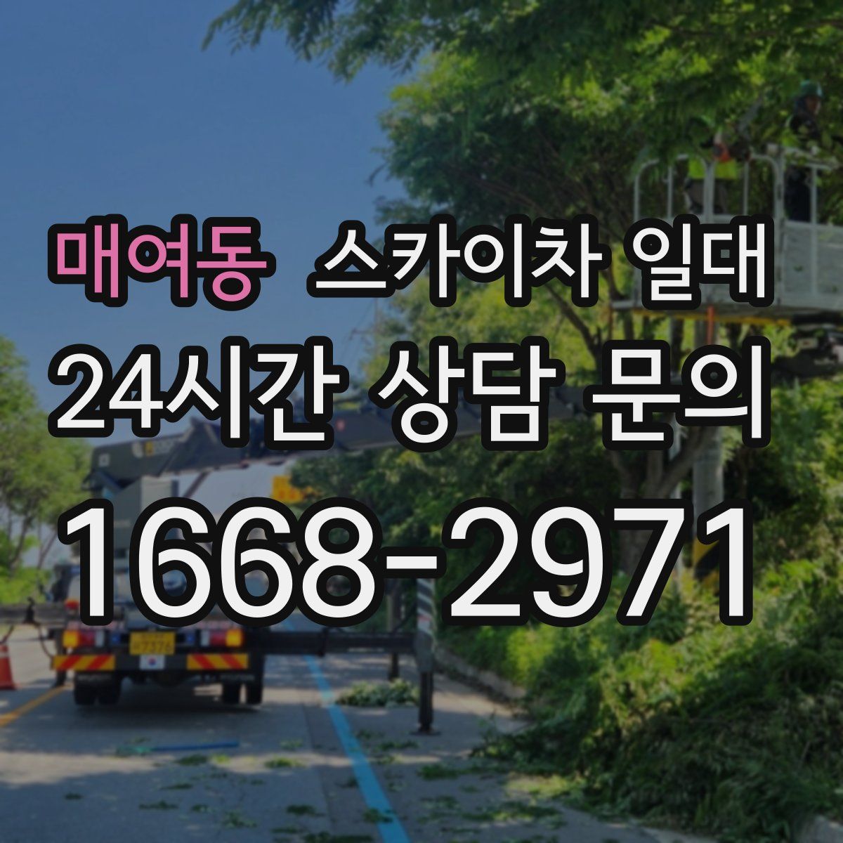 매여동 스카이차 일대