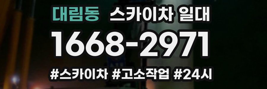 대림동 스카이차 일대