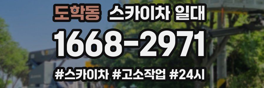 도학동 스카이차 일대
