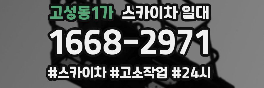 고성동1가 스카이차 일대