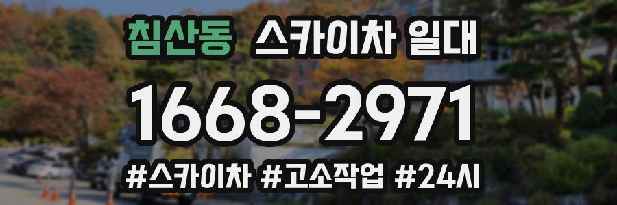 침산동 스카이차 일대