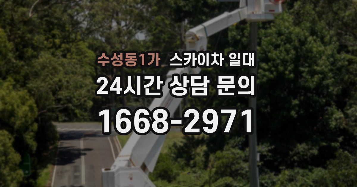수성동1가 스카이차 일대