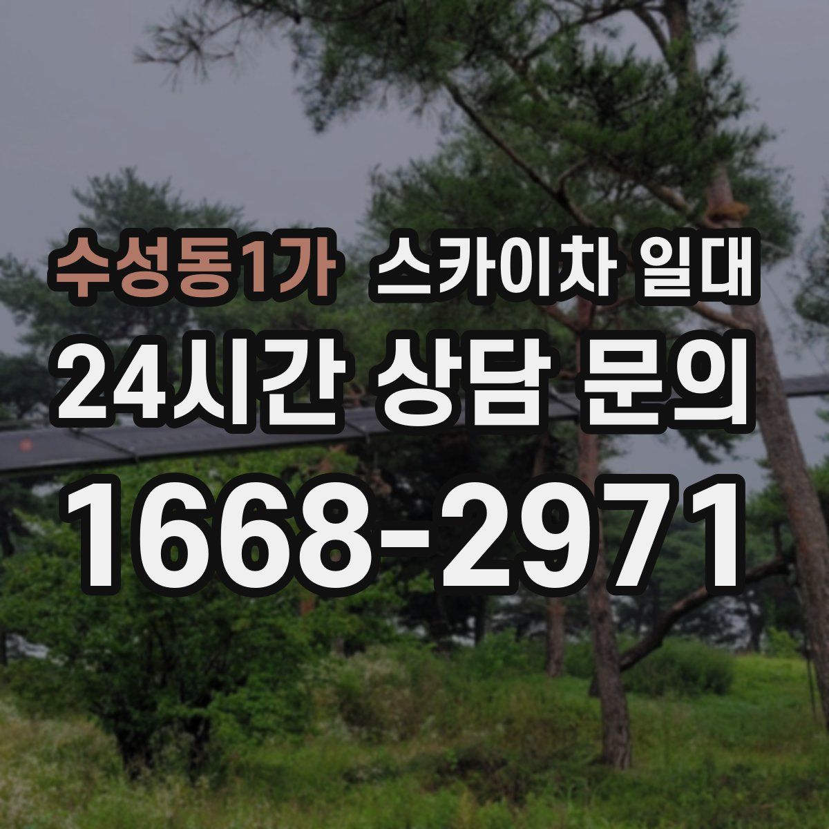 수성동1가 스카이차 일대