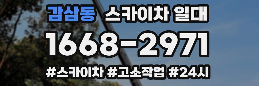 감삼동 스카이차 일대