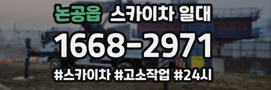 논공읍 스카이차 일대