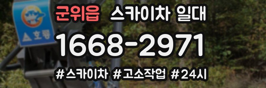 군위읍 스카이차 일대