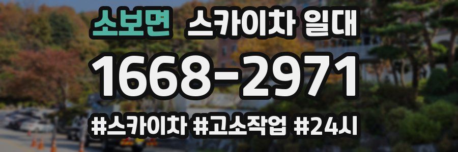 소보면 스카이차 일대