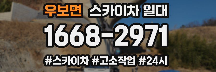 우보면 스카이차 일대