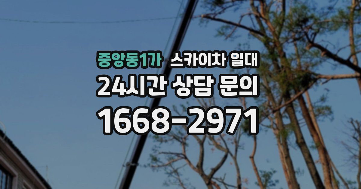 중앙동1가 스카이차 일대