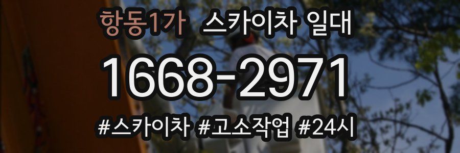 항동1가 스카이차 일대