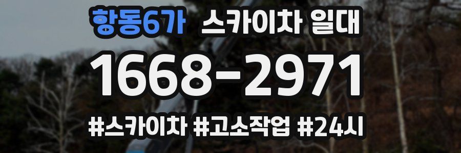 항동6가 스카이차 일대