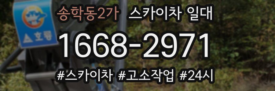 송학동2가 스카이차 일대