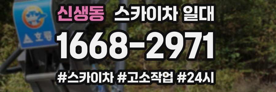 신생동 스카이차 일대