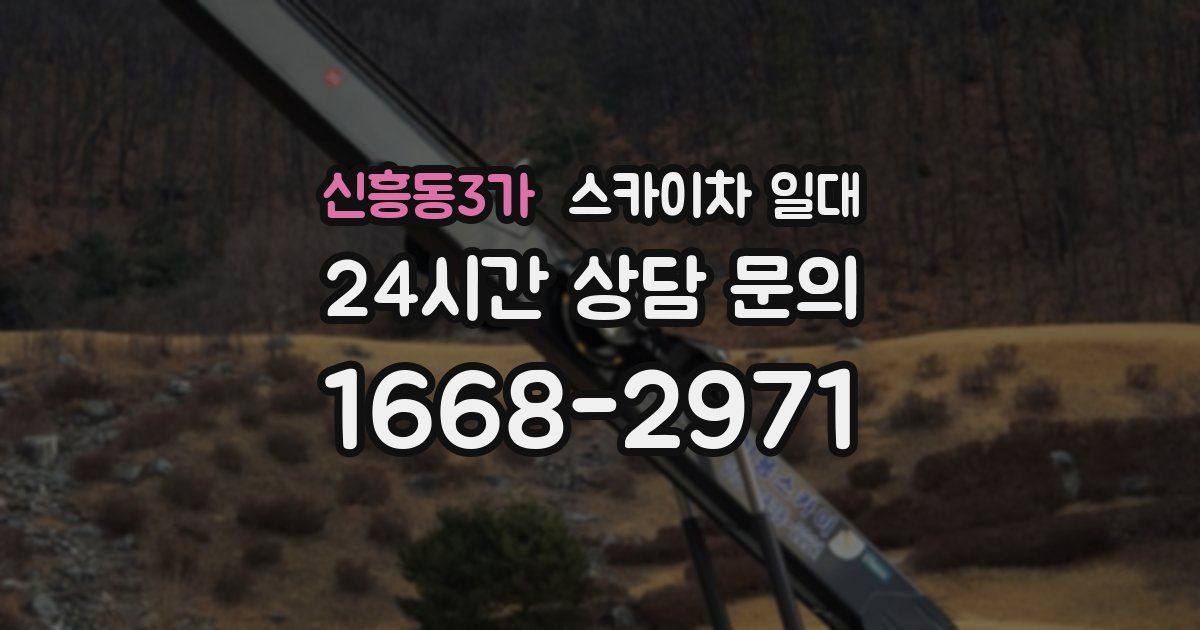 신흥동3가 스카이차 일대