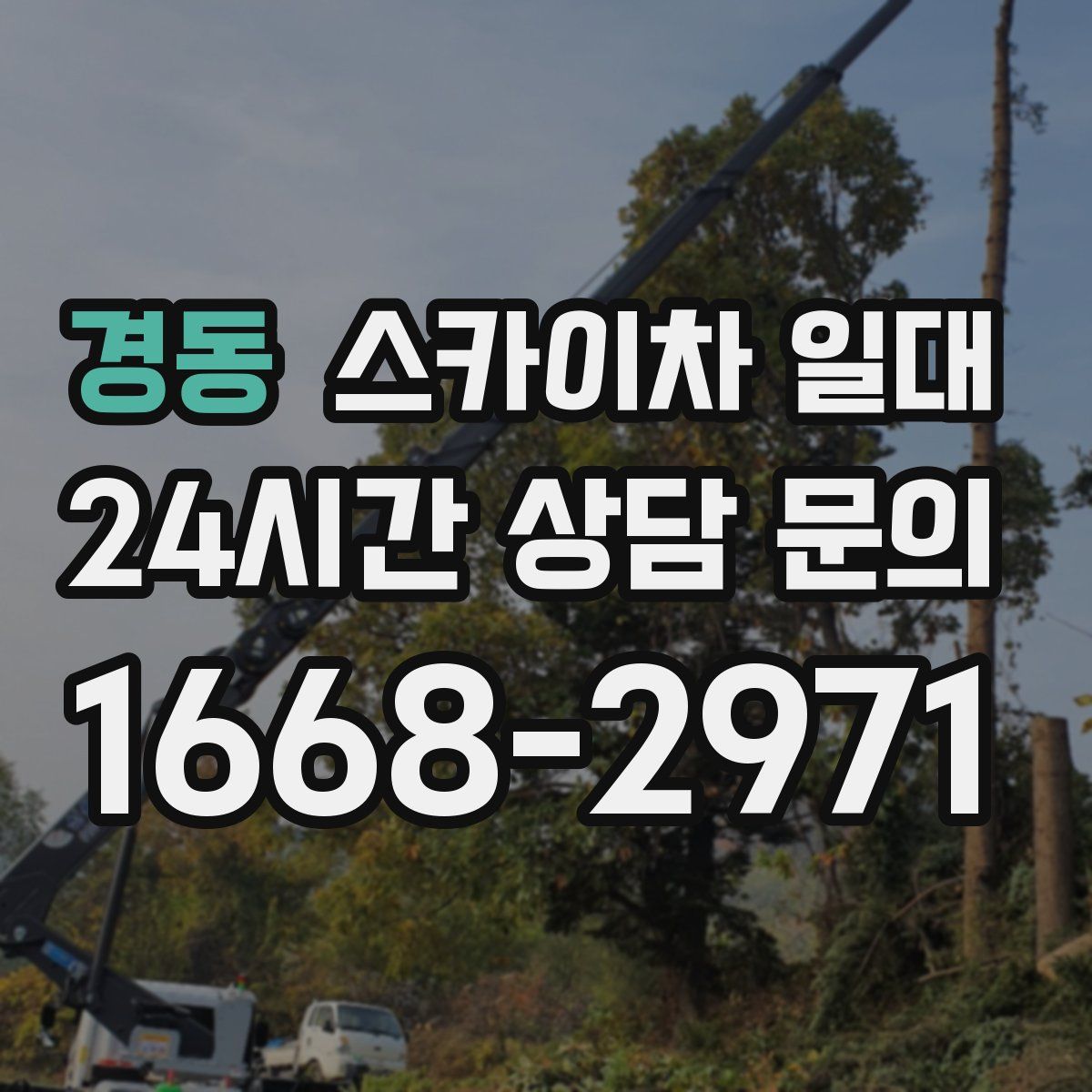 경동 스카이차 일대