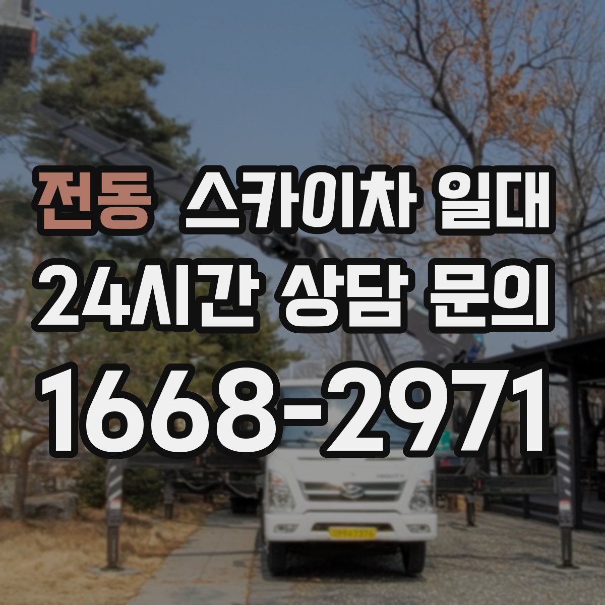 전동 스카이차 일대