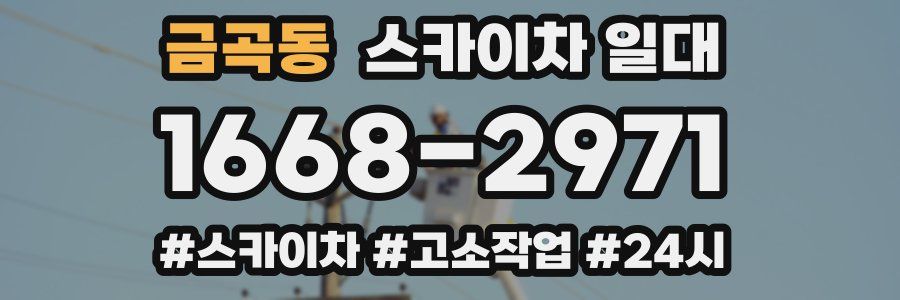 금곡동 스카이차 일대