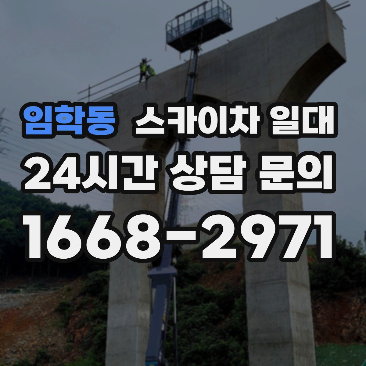 임학동 스카이차 일대