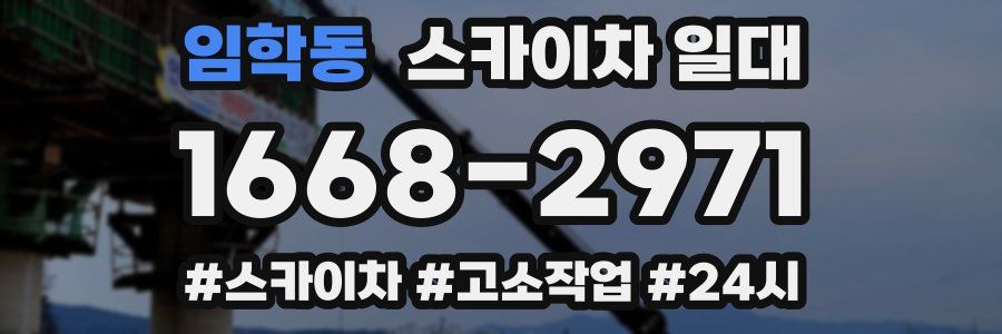 임학동 스카이차 일대