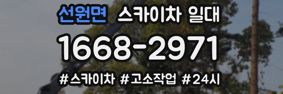 선원면 스카이차 일대
