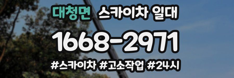 대청면 스카이차 일대