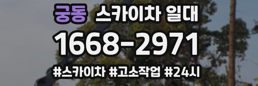 궁동 스카이차 일대
