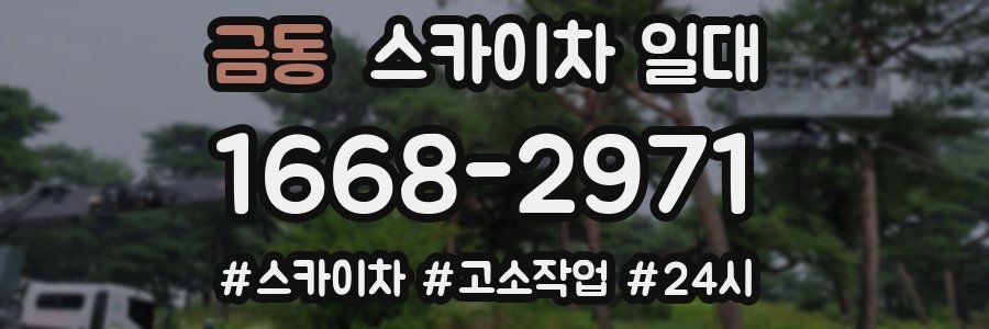 금동 스카이차 일대