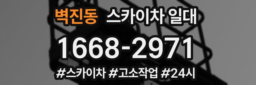 벽진동 스카이차 일대